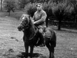 Sowiecki kawalerzysta na koniu