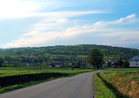 Głojsce – panorama
