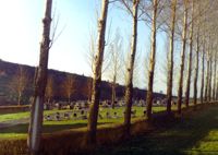 Cmentarz 1998 r.