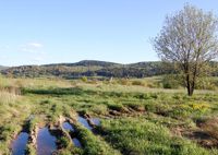 Beskid Niski